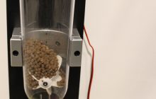 Comedero para gatos controlable por MQTT e integrado en Home Assistant