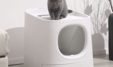 Xiaomi lanza un baño para gatos inteligente