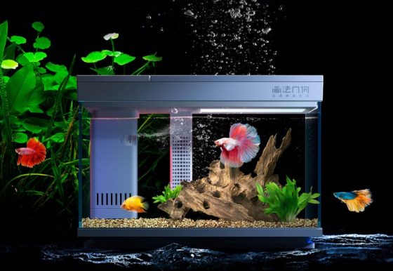 Xiaomi inicia el crowdfunding de un acuario inteligente