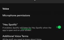 posible asistente virtual de spotify en camino