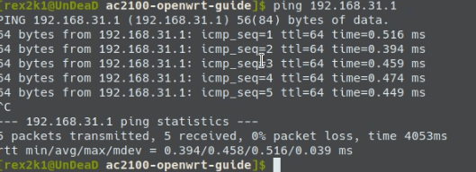 ping router
