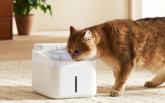 Xiaomi lanza un dispensador de agua para mascotas con 100 días de batería y diseño silencioso